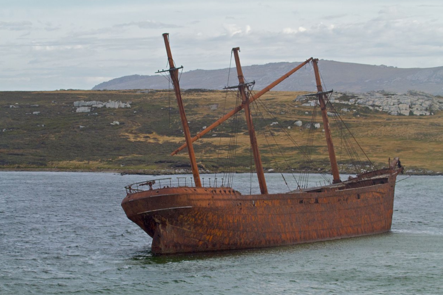 By%20Brian%20Gratwicke%20 %20Flickr%20IMG_6593%20CC%20BY%202.0%20Wikimedia