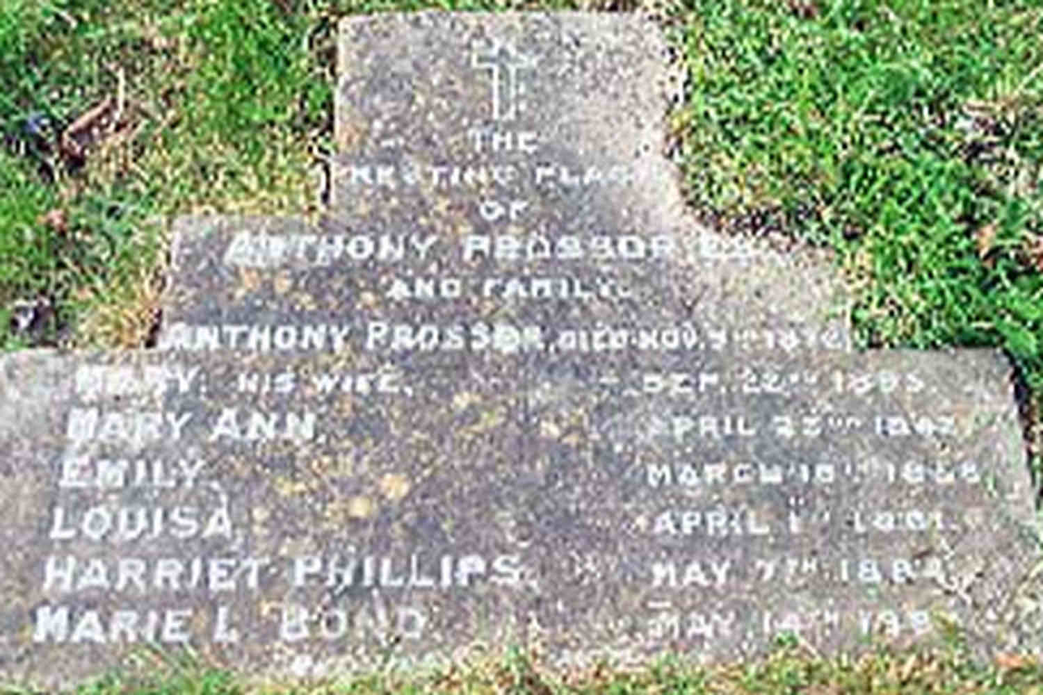 b%20prossorgrave_1500x1000